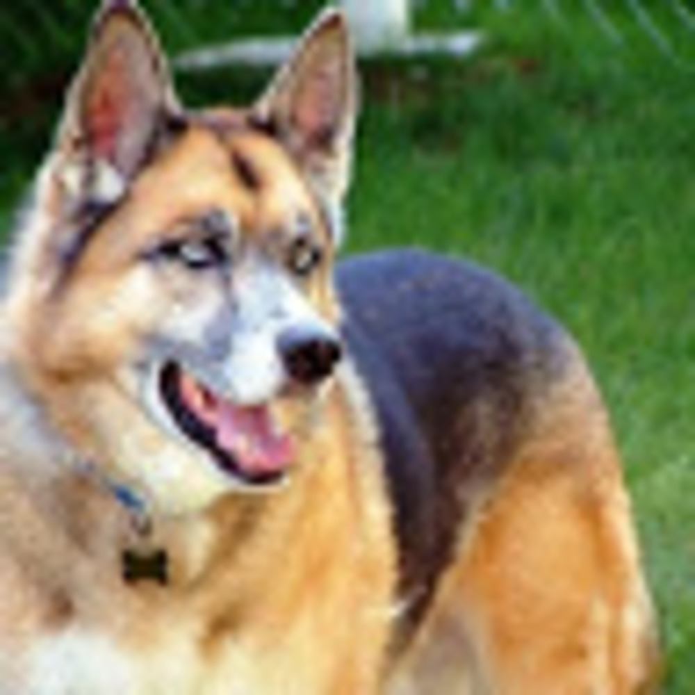 Meet your Posher, Brigitta